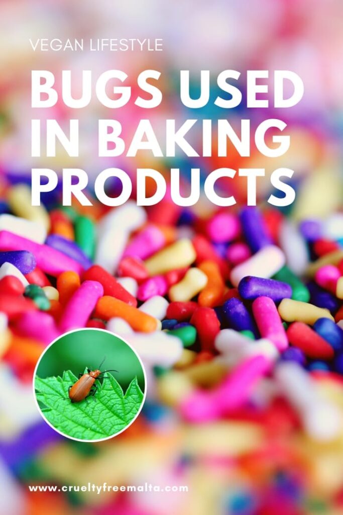 Insects used in baking