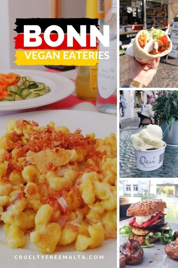 Vegan Eateries in Bonn