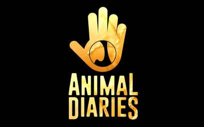 Animal Diaries on TVM Interview